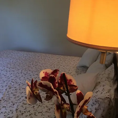 Morfeas بلاتامونيس