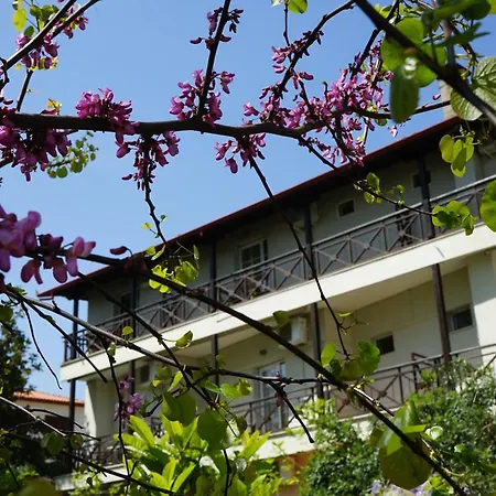 Morfeas 2* Platamonas