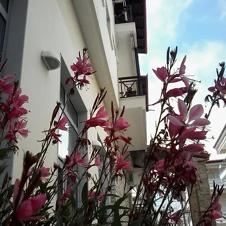 Morfeas Platamonas