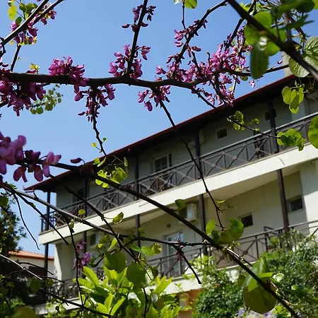 Morfeas Hotell Platamonas